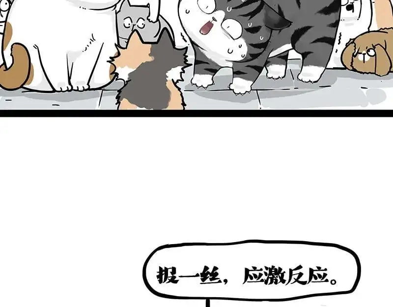 吾皇巴扎黑人物介绍漫画,第404话 寻家计划1：啸天2图