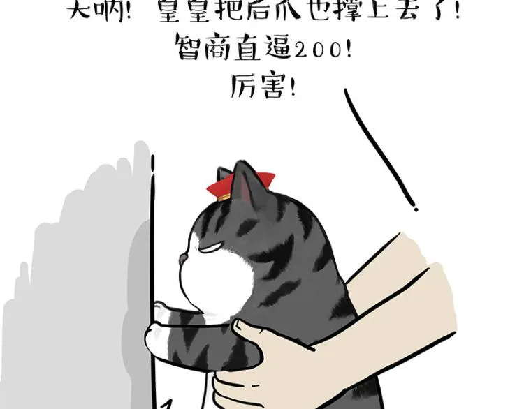 吾皇巴扎黑漫画大中华史2漫画,第294话 教狗游泳难度爆棚5图