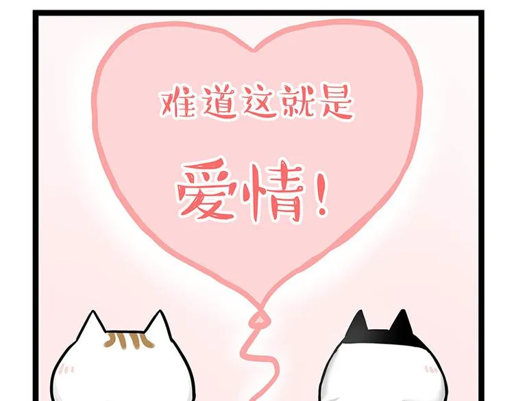 吾皇巴扎黑壁纸漫画,第284话 美喵竟是我自己2图