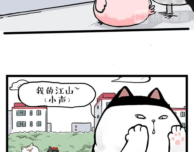 第277话 猫斗猫2