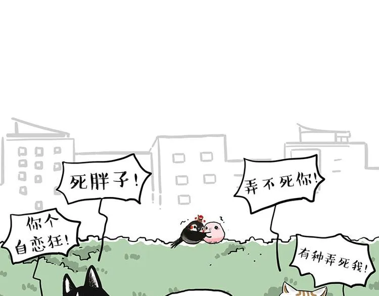 吾皇巴扎黑图片漫画,第269话 跟我回家吧5图