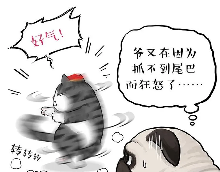 吾皇巴扎黑人物介绍漫画,第260话 孤独解药1图