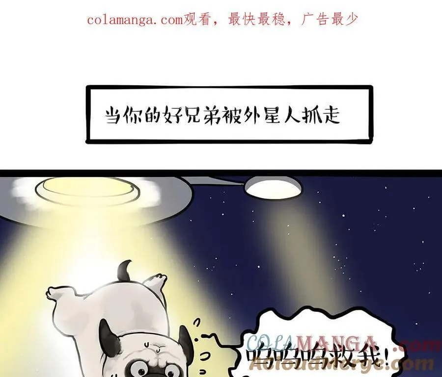 吾皇巴扎黑漫画,第444话 定！1图