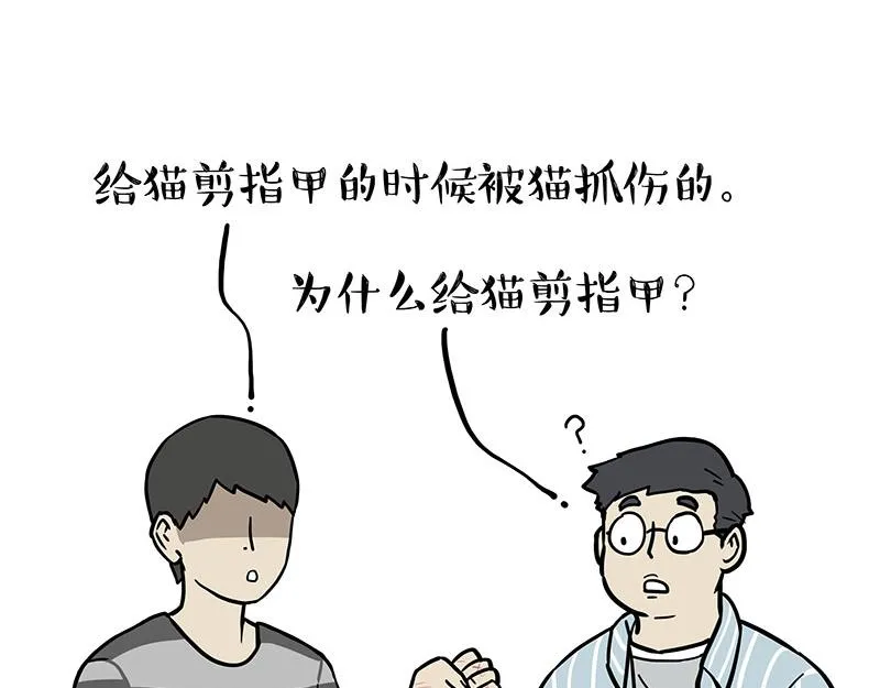 吾皇巴扎黑漫画大中华史2漫画,第378话 给你满天星星4图