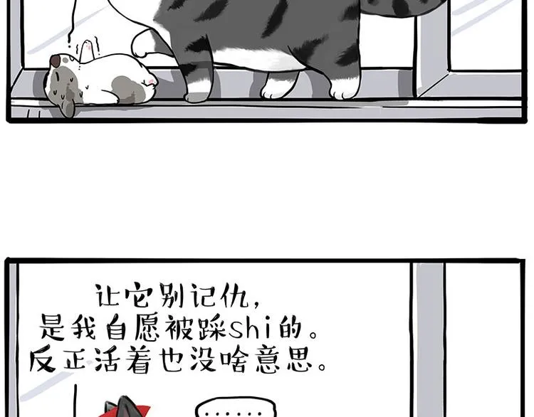 吾皇巴扎黑图片漫画,第269话 跟我回家吧4图