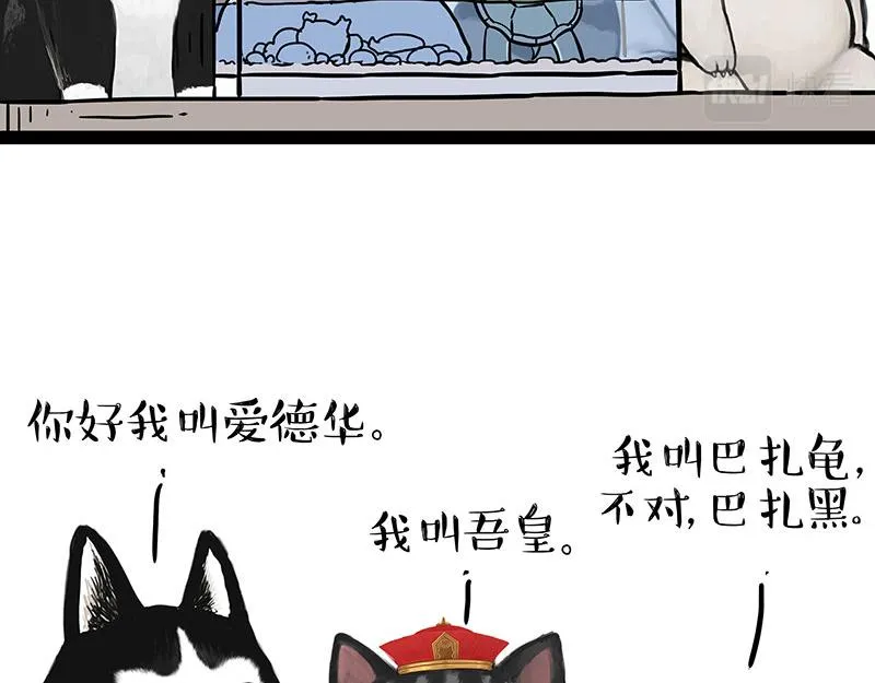 吾皇巴扎黑音乐盲盒漫画,第299话 真假虚实1图