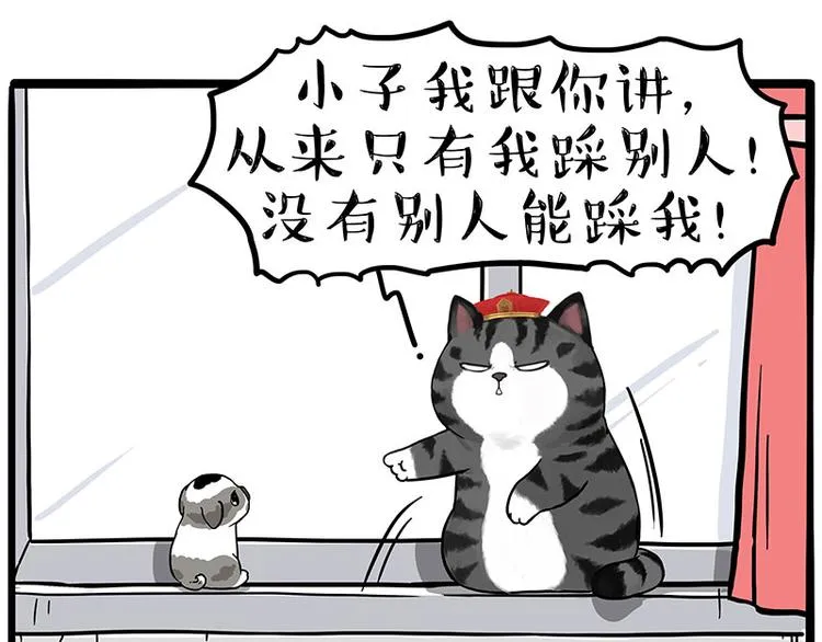 吾皇巴扎黑图片漫画,第269话 跟我回家吧5图