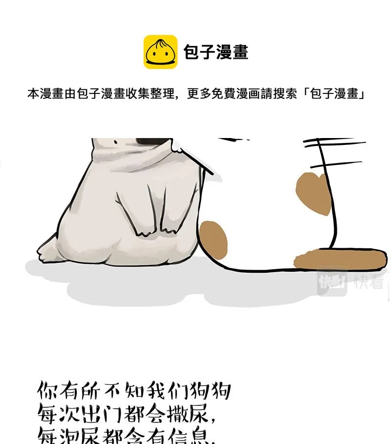 吾皇巴扎黑漫画,第317话 社交密码4图