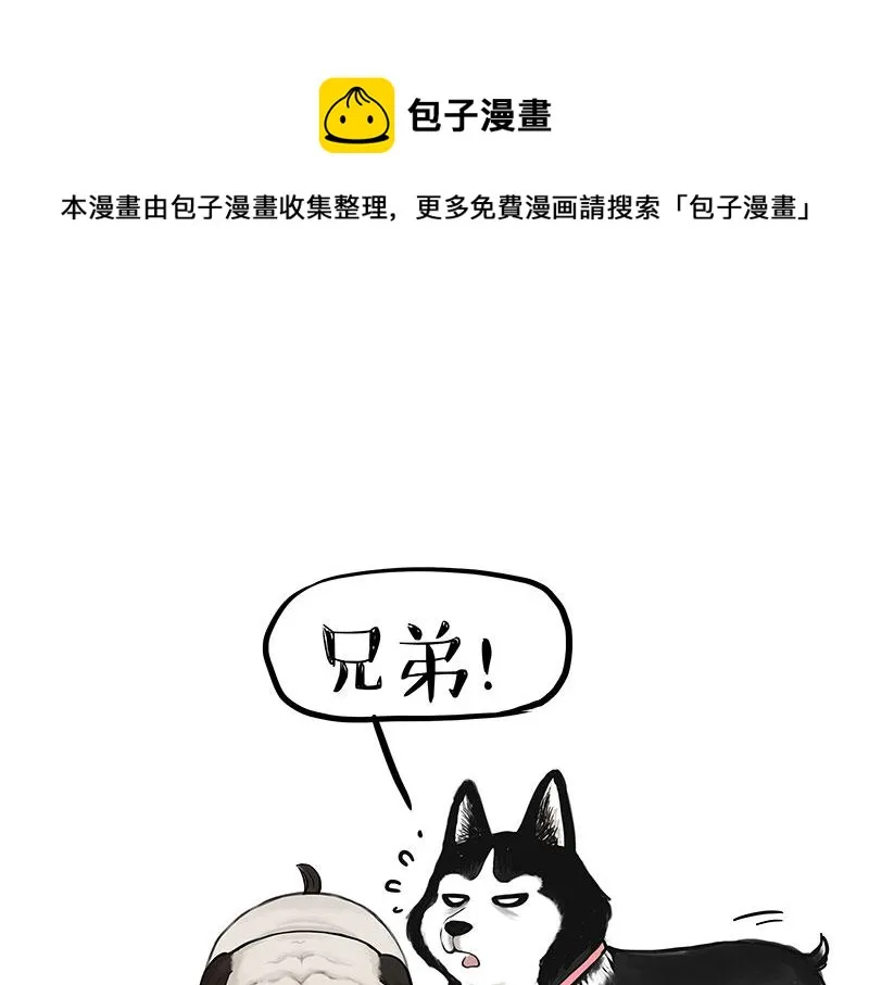 吾皇巴扎黑漫画,第358话 都是错觉1图