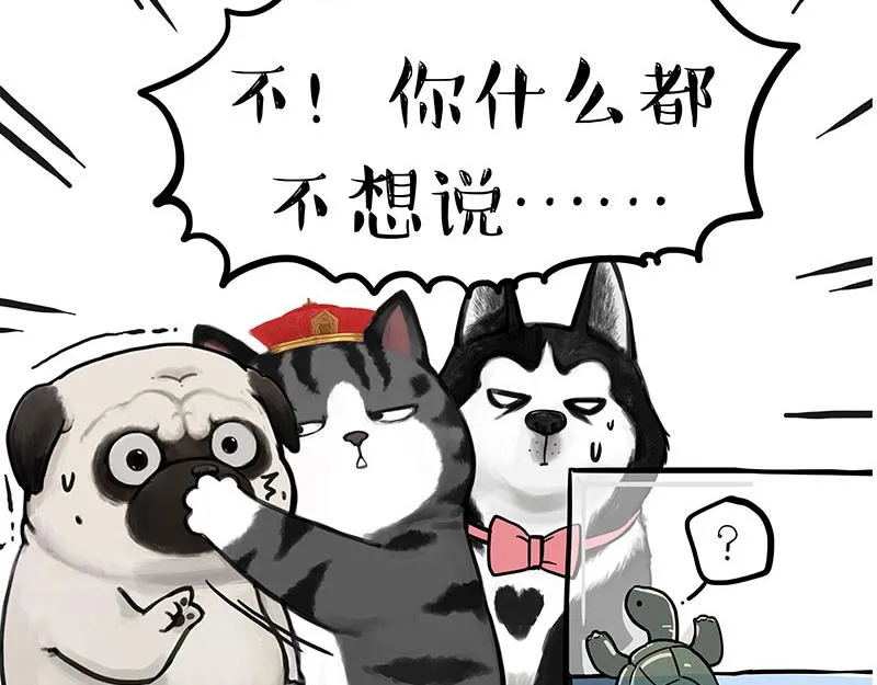 吾皇巴扎黑音乐盲盒漫画,第299话 真假虚实2图