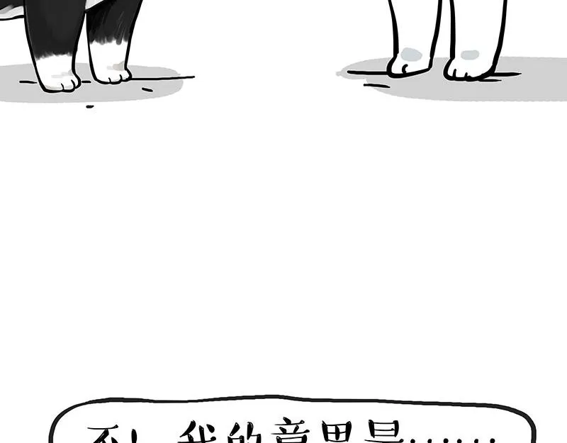 吾皇巴扎黑漫画,第349话 养只猫吧5图