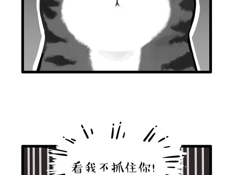 吾皇巴扎黑老爹的花瓶漫画,第260话 孤独解药3图