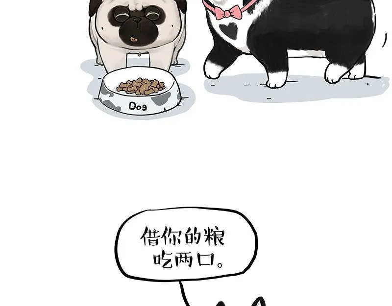 吾皇巴扎黑漫画,第358话 都是错觉2图