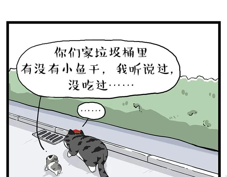 吾皇巴扎黑图片漫画,第269话 跟我回家吧4图