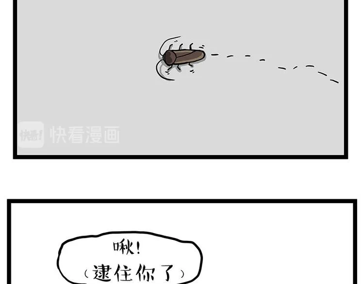 吾皇巴扎黑简介漫画,第261话 灭蟑？3图