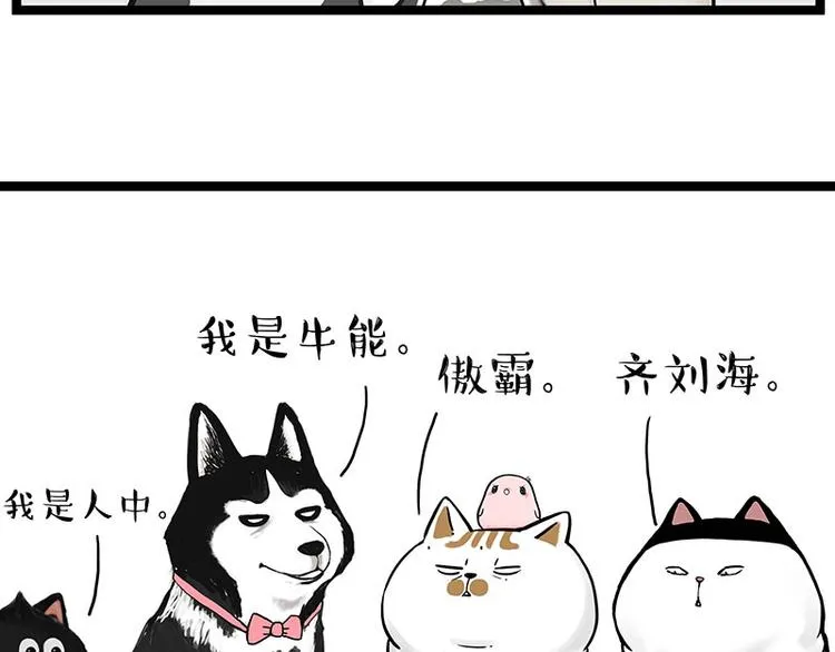 吾皇巴扎黑漫画,第269话 跟我回家吧2图