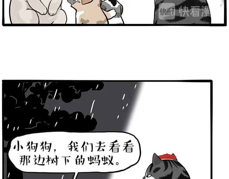 吾皇巴扎黑音乐盲盒漫画,第267话 不让你流浪3图