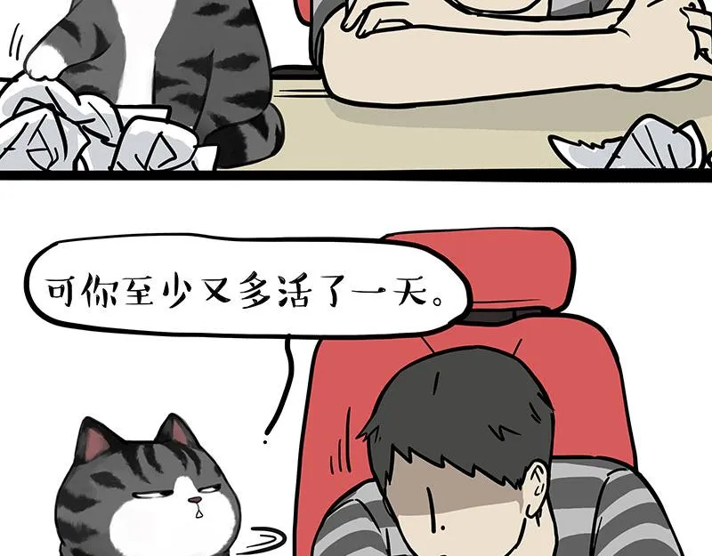 吾皇巴扎黑头像漫画,第391话 开心就好4图