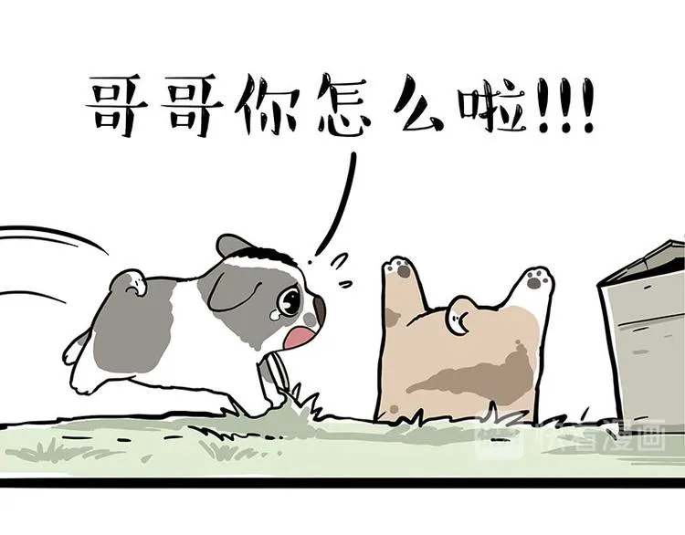 吾皇巴扎黑超话漫画,第272话 一定会再见4图