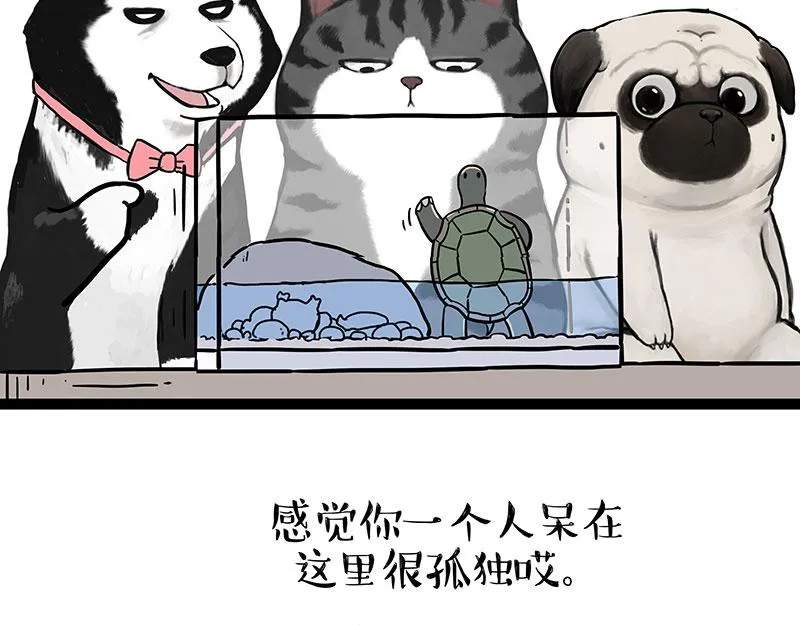 吾皇巴扎黑音乐盲盒漫画,第299话 真假虚实2图