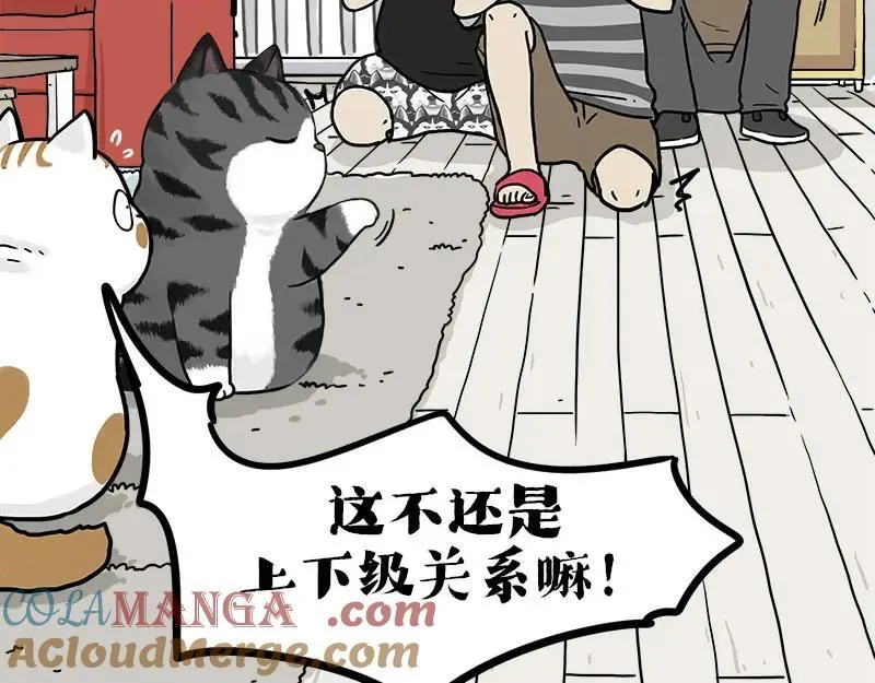 吾皇巴扎黑动漫全集漫画,第409话 吾皇改名了？4图