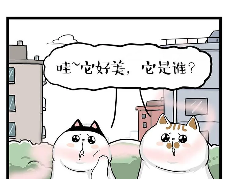 吾皇巴扎黑壁纸漫画,第284话 美喵竟是我自己1图