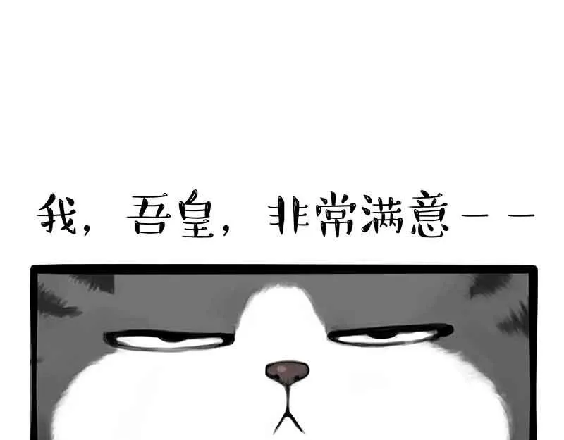 吾皇巴扎黑漫画,第359话 猫洛芬5图