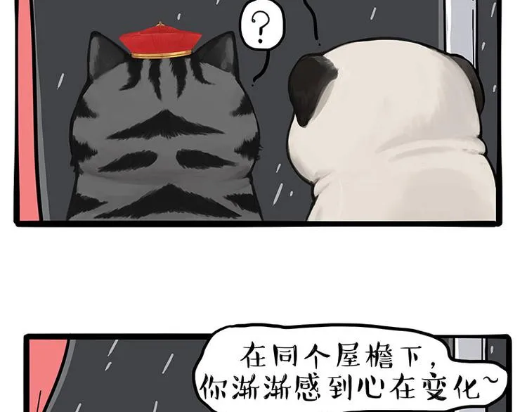 吾皇巴扎黑漫画,第265话 雨夜“惊魂”4图