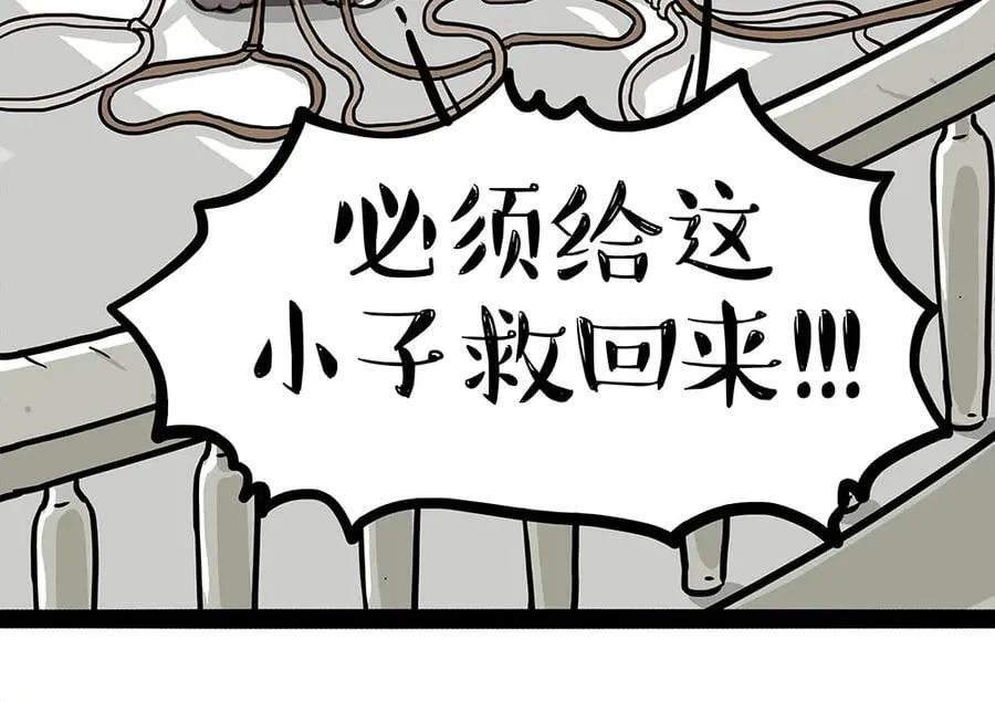 吾皇巴扎黑简介漫画,第444话 定！4图