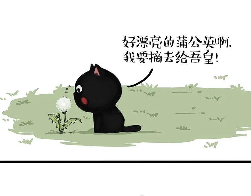 吾皇巴扎黑经典语录漫画,第375话 偶遇恶犬3图