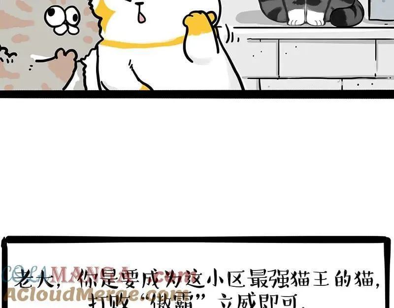 吾皇巴扎黑漫画大中华史漫画,第442话 逆风的挑战5图