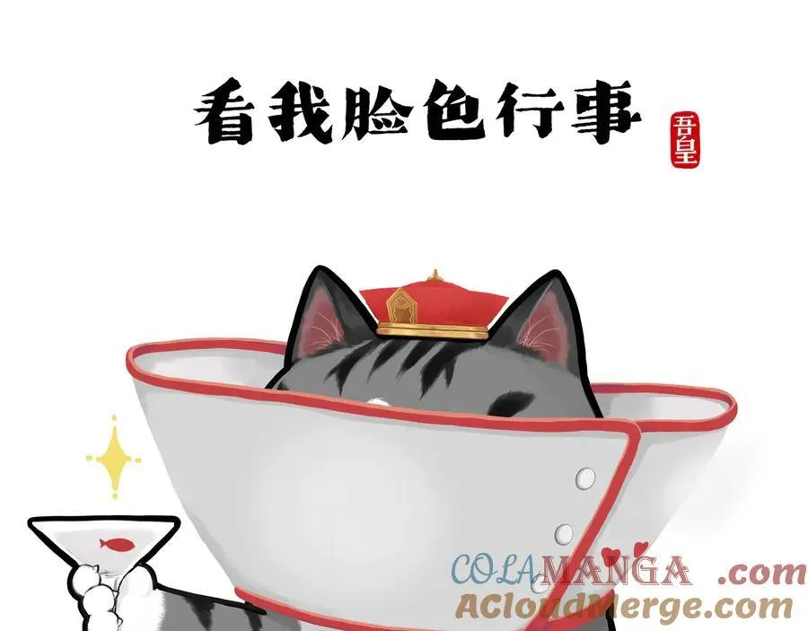 吾皇巴扎黑图片漫画,第416话 进圈2图