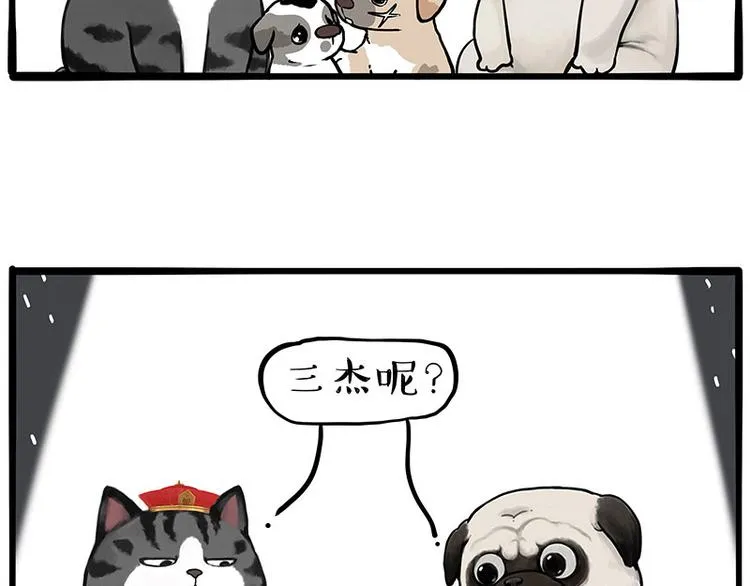 吾皇巴扎黑音乐盲盒漫画,第267话 不让你流浪3图