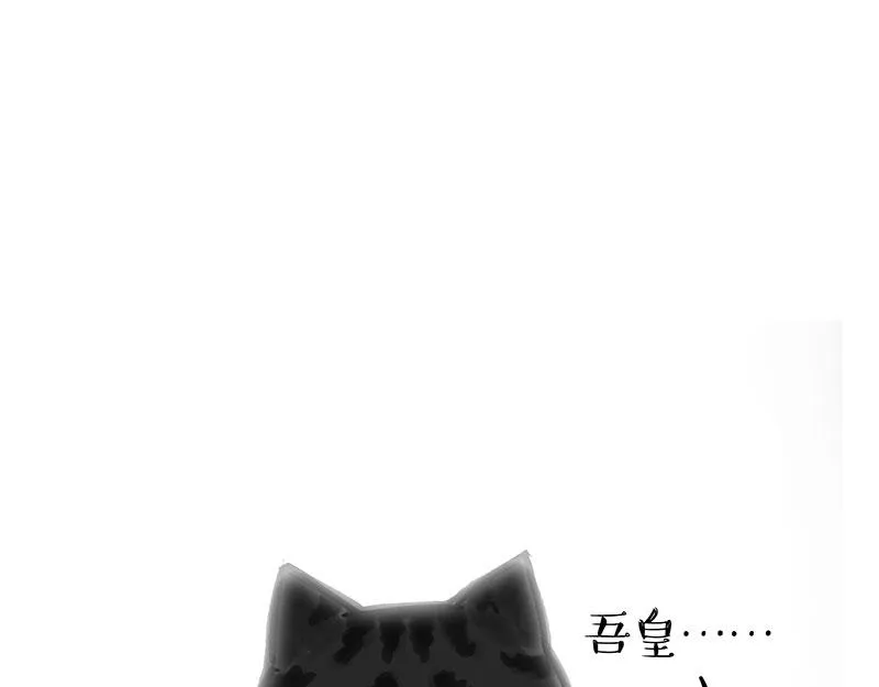 吾皇巴扎黑漫画书漫画,第349话 养只猫吧2图