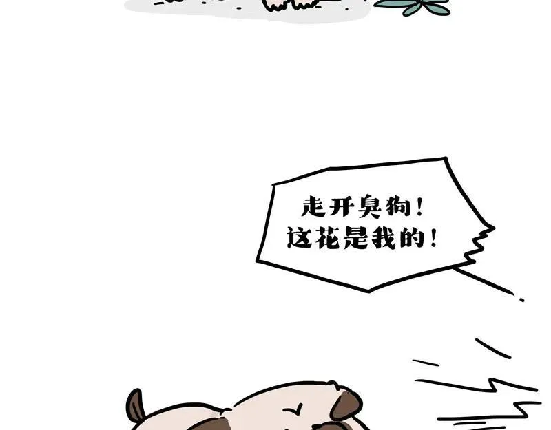 吾皇巴扎黑漫画大中华史漫画,第417话 帅哥你谁5图