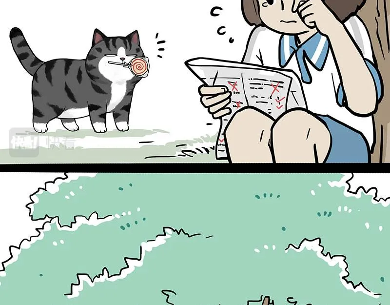 吾皇巴扎黑原型漫画,第377话 谢谢小猫咪4图