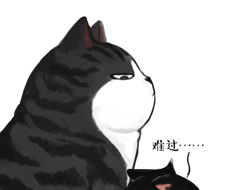 吾皇巴扎黑漫画书漫画,第349话 养只猫吧2图