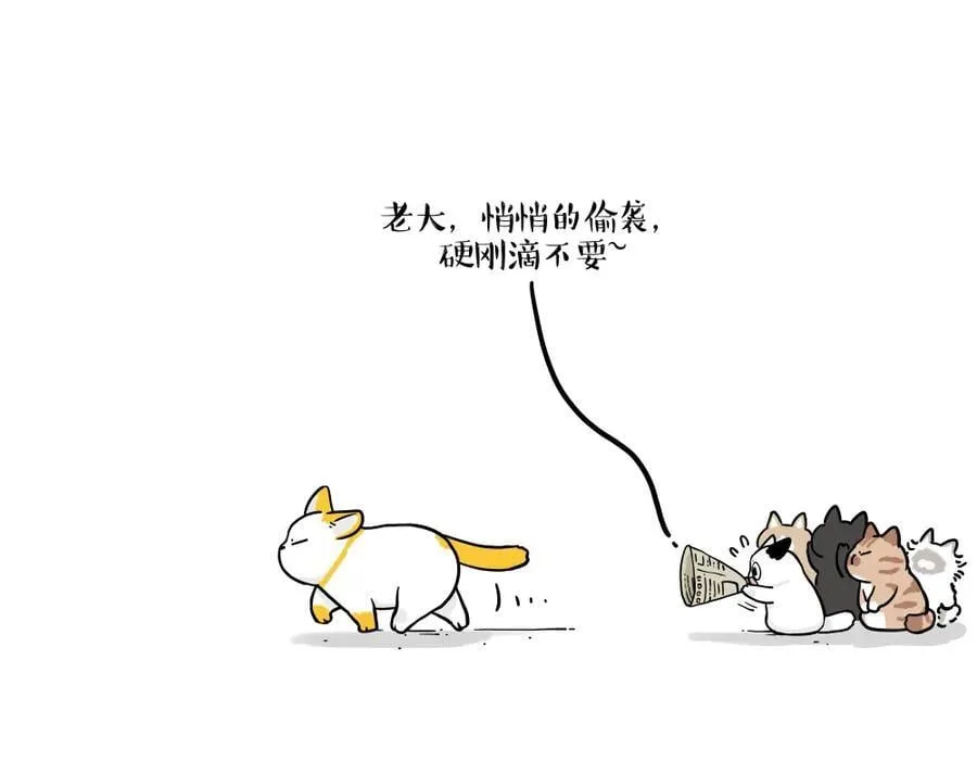 吾皇巴扎黑图片漫画,第431话 老大和老大？4图