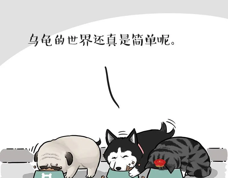 吾皇巴扎黑音乐盲盒漫画,第299话 真假虚实5图