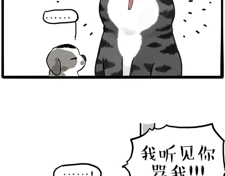 吾皇巴扎黑图片漫画,第269话 跟我回家吧3图