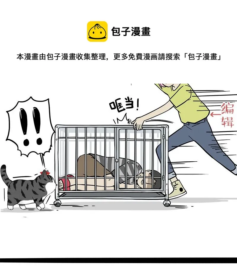 吾皇巴扎黑白茶漫画,第319话 交稿了吗？3图