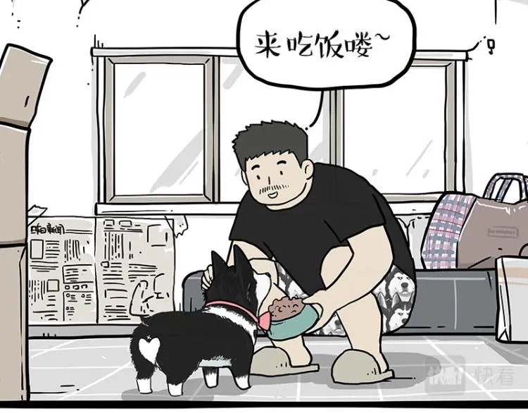 吾皇巴扎黑漫画,第288话 冒牌货，拿来吧你！3图