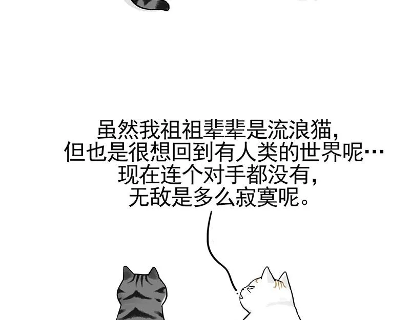 吾皇巴扎黑漫画,第322话 吾皇的孙子4图