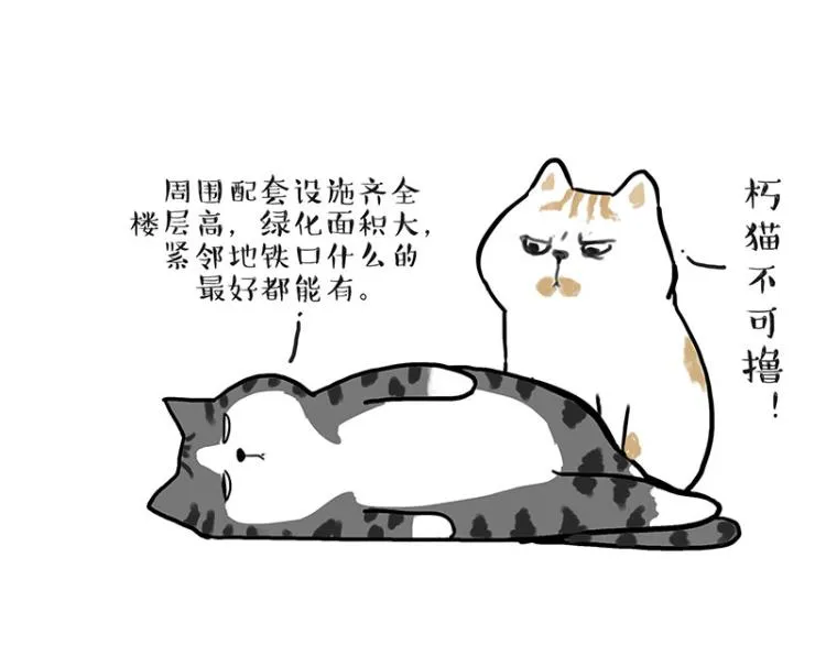 吾皇巴扎黑音乐盲盒漫画,第291话 好兄弟，一辈子4图