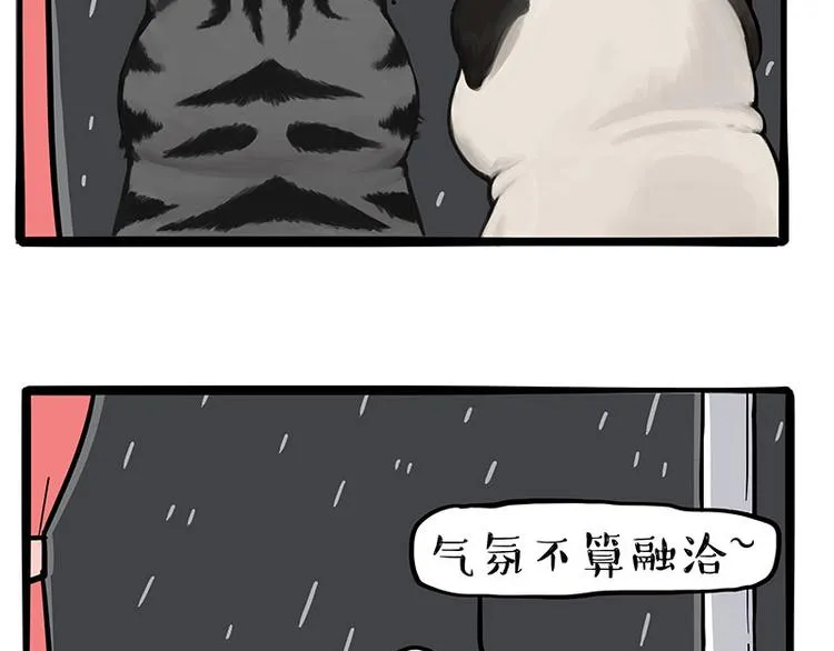 吾皇巴扎黑漫画,第265话 雨夜“惊魂”3图