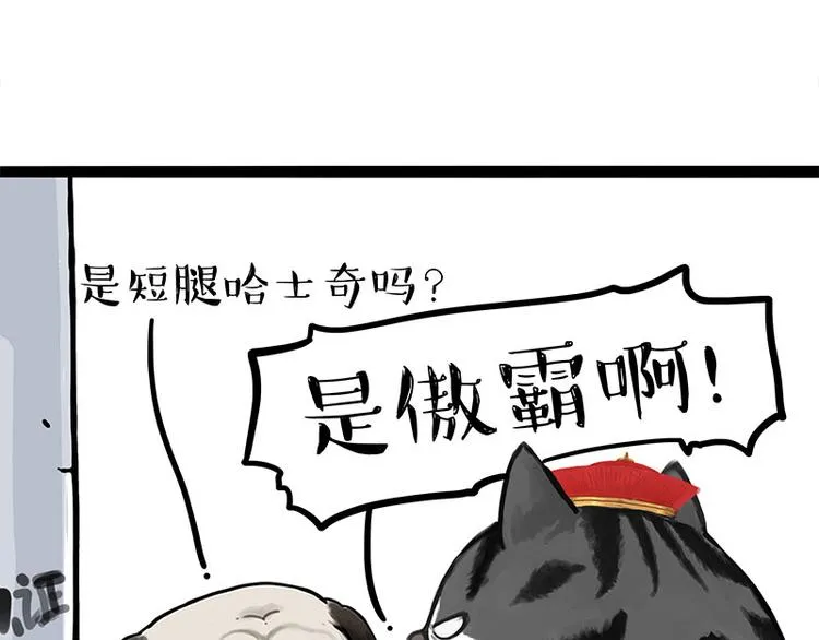 吾皇巴扎黑漫画,第258话 靠脸吃饭5图