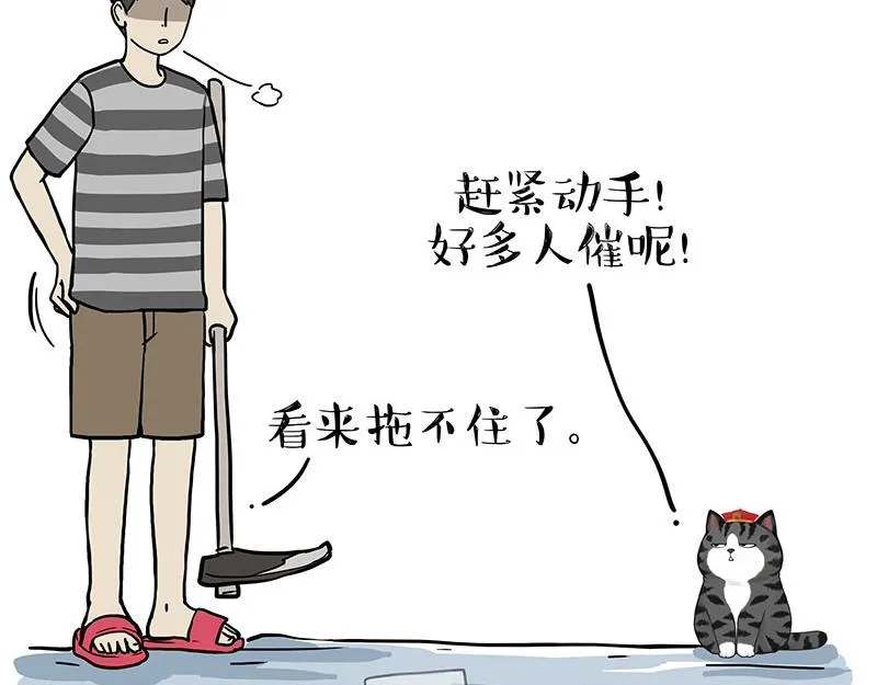 吾皇巴扎黑环游世界盲盒漫画,第320话 猫孵鱼4图