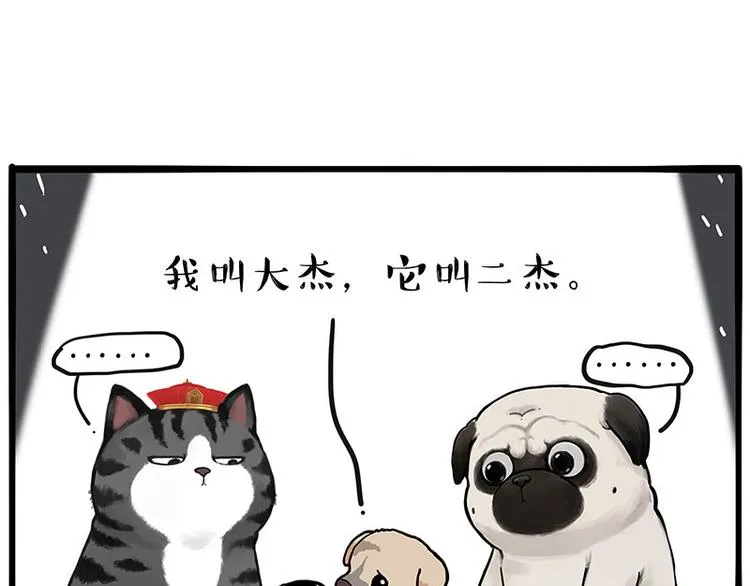 吾皇巴扎黑音乐盲盒漫画,第267话 不让你流浪2图