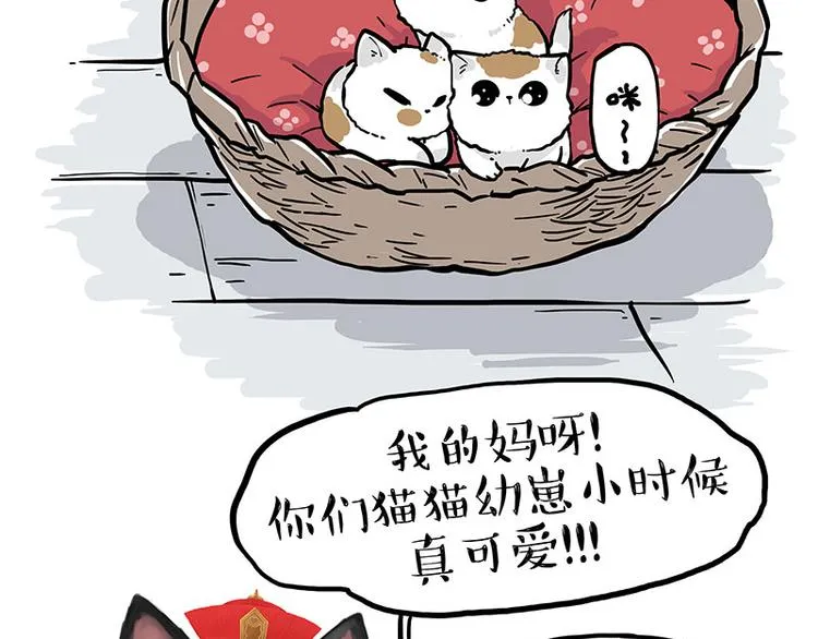 吾皇巴扎黑漫画,第275话 吾皇过生日了2图