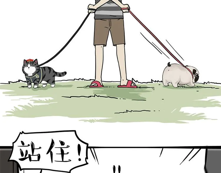 吾皇巴扎黑全集漫画,第262话 忠犬巴扎黑？！3图